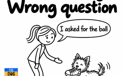 A Yorkie proudly brings a shoe to a woman who asked for a ball, beneath the words Great story, Wrong question